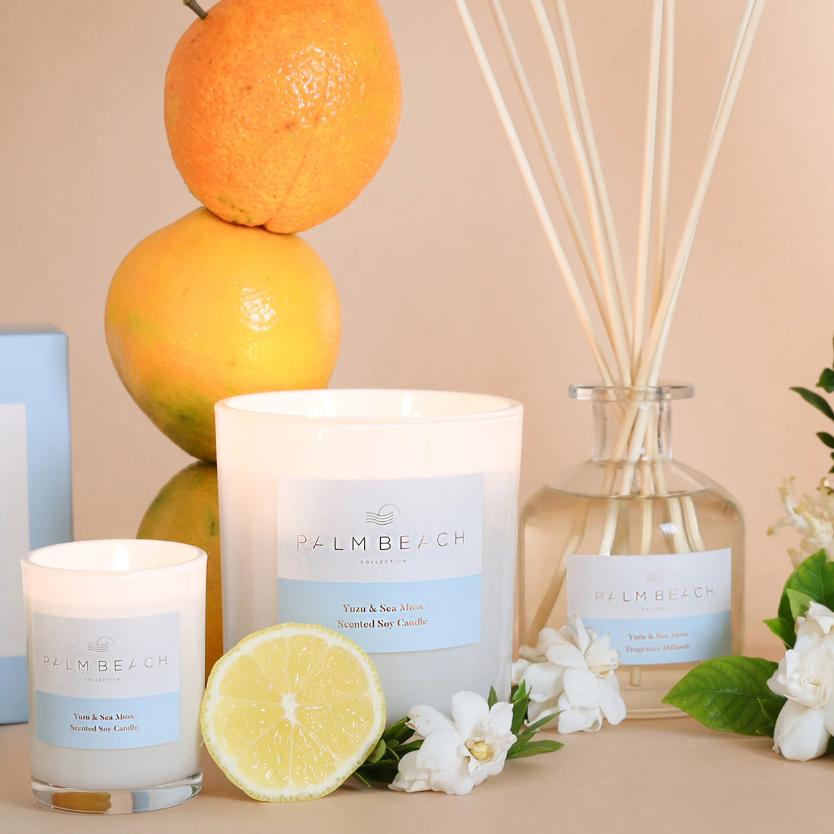 Yuzu & Sea Moss 420g Candle - Palm Beach