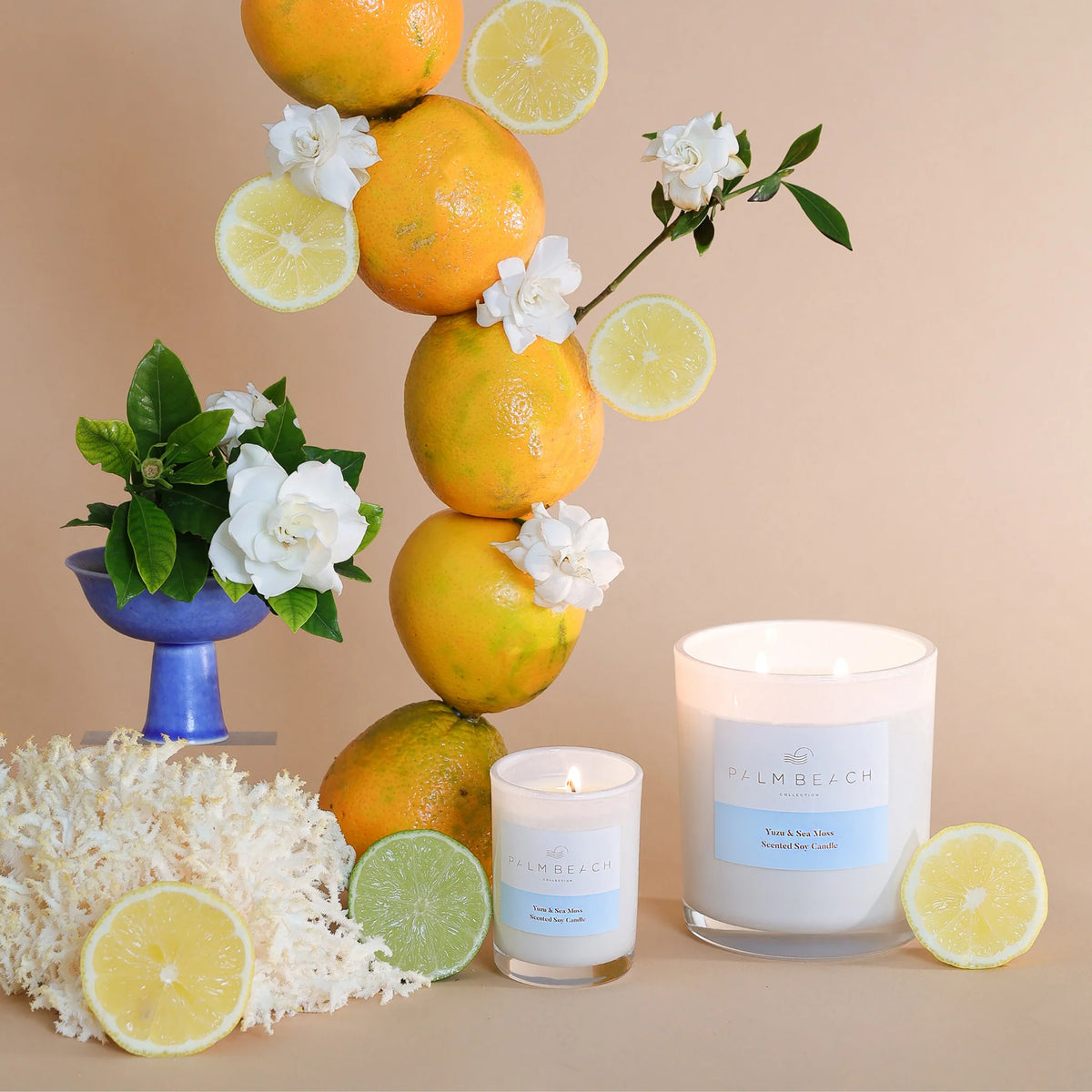 Yuzu & Sea Moss 420g Candle - Palm Beach
